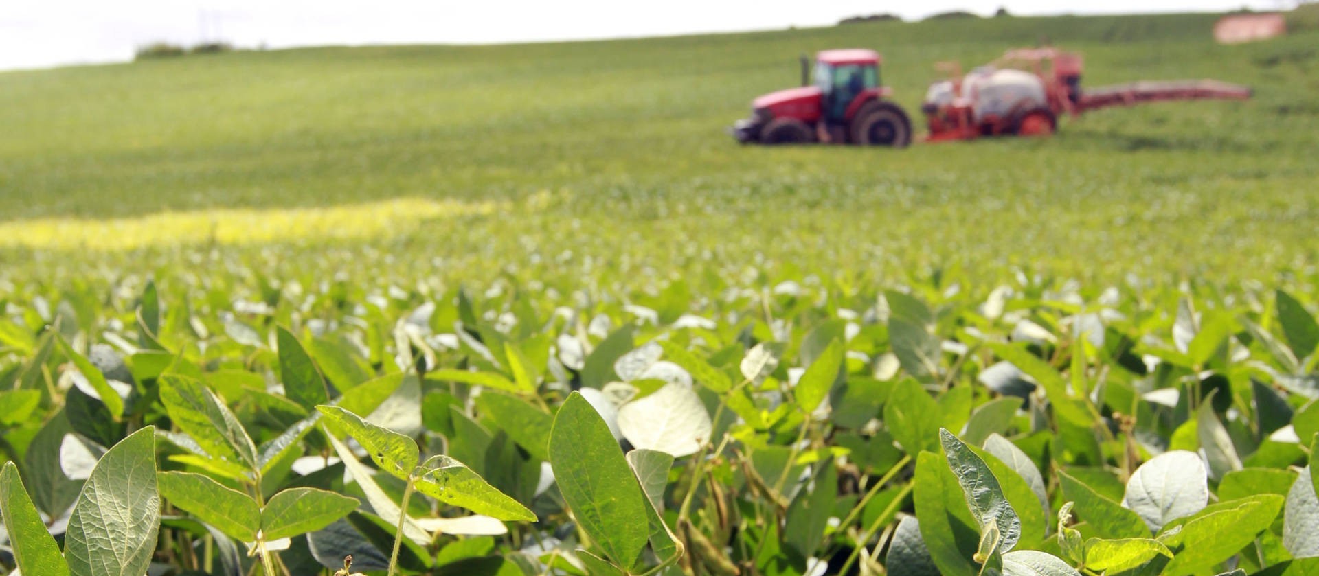 Clima para os próximos meses do agro