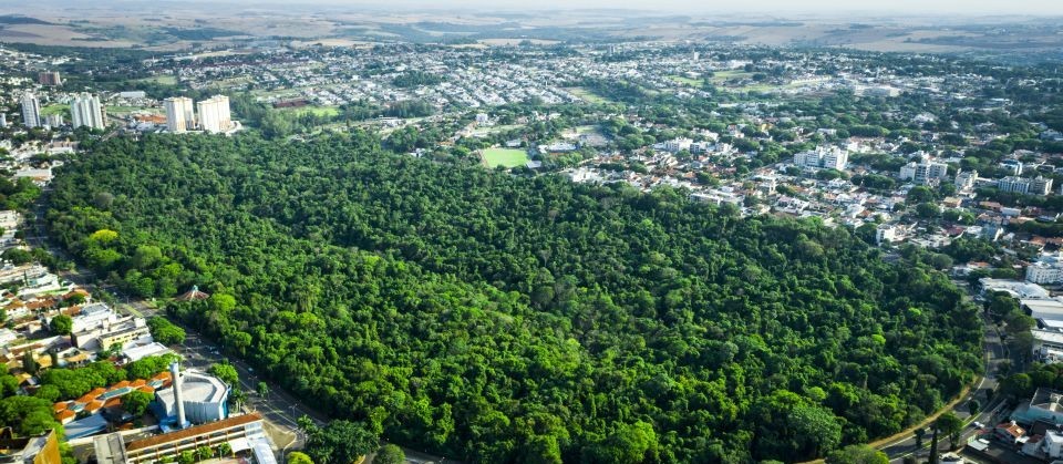 Programa Maringá pelo Clima fomenta a redução de emissão de gases