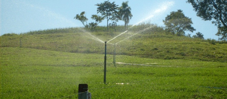 Governo do Paraná simplifica condições de uso da água na irrigação rural