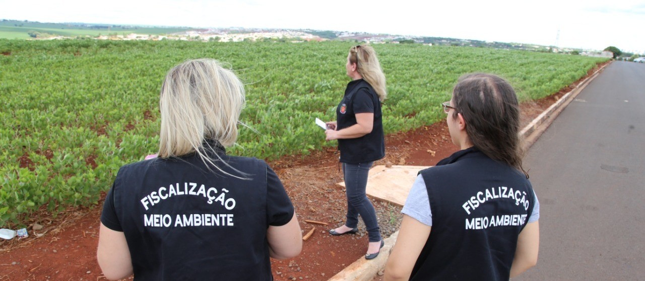 Inversão térmica pode ter provocado mau cheiro na zona Norte 