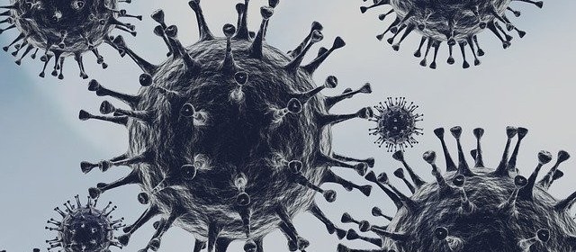 Veja o balanço de oito meses de pandemia do coronavírus em Maringá