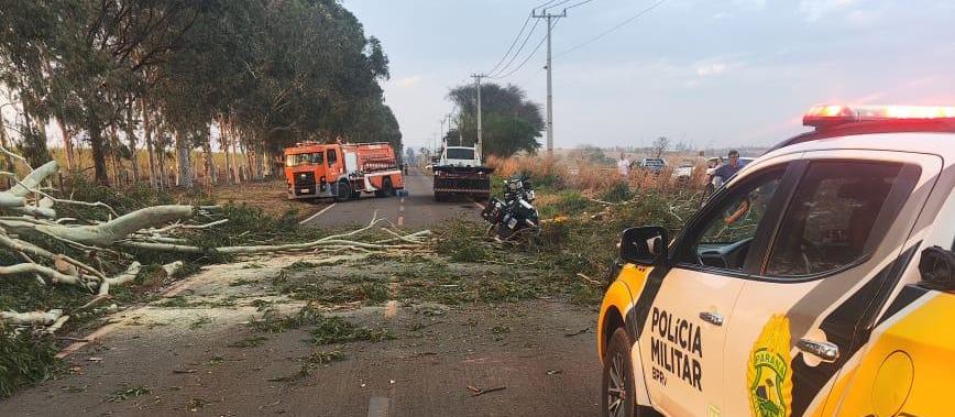 Motociclista é atingida por árvore e morre na PR-180
