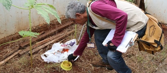Maringá faz mutirão de limpeza contra a dengue