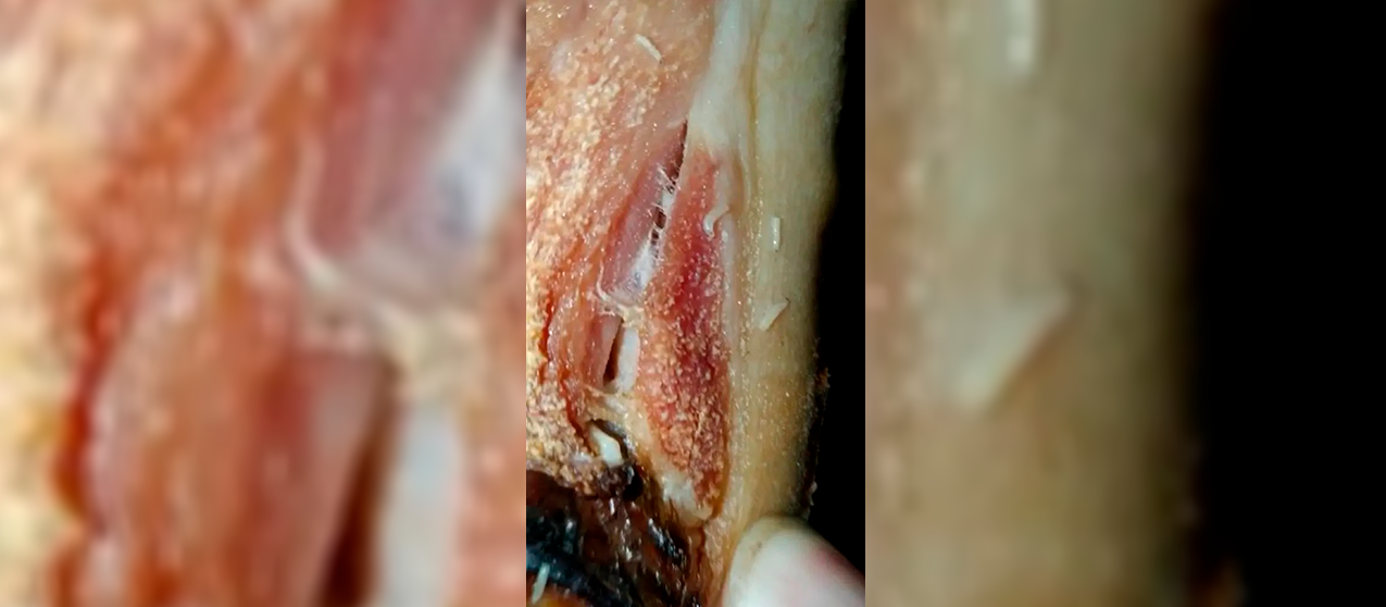 Bacon coberto de larvas é encontrado em freezer de mercado interditado pela Polícia Civil