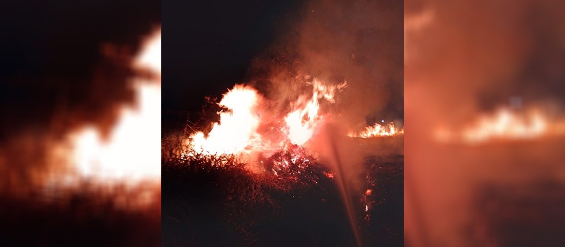 Incêndio em vegetação quase atinge hospital de Paranavaí