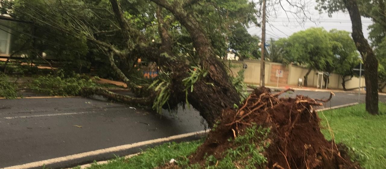 Uma pessoa morreu e duas ficaram feridas durante temporal no Paraná