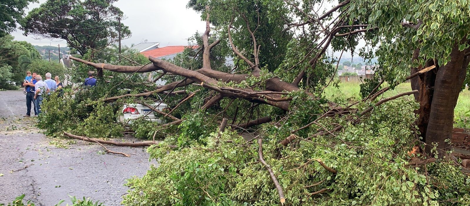 7.500 imóveis ficaram sem energia em Maringá nesta quinta-feira (7)