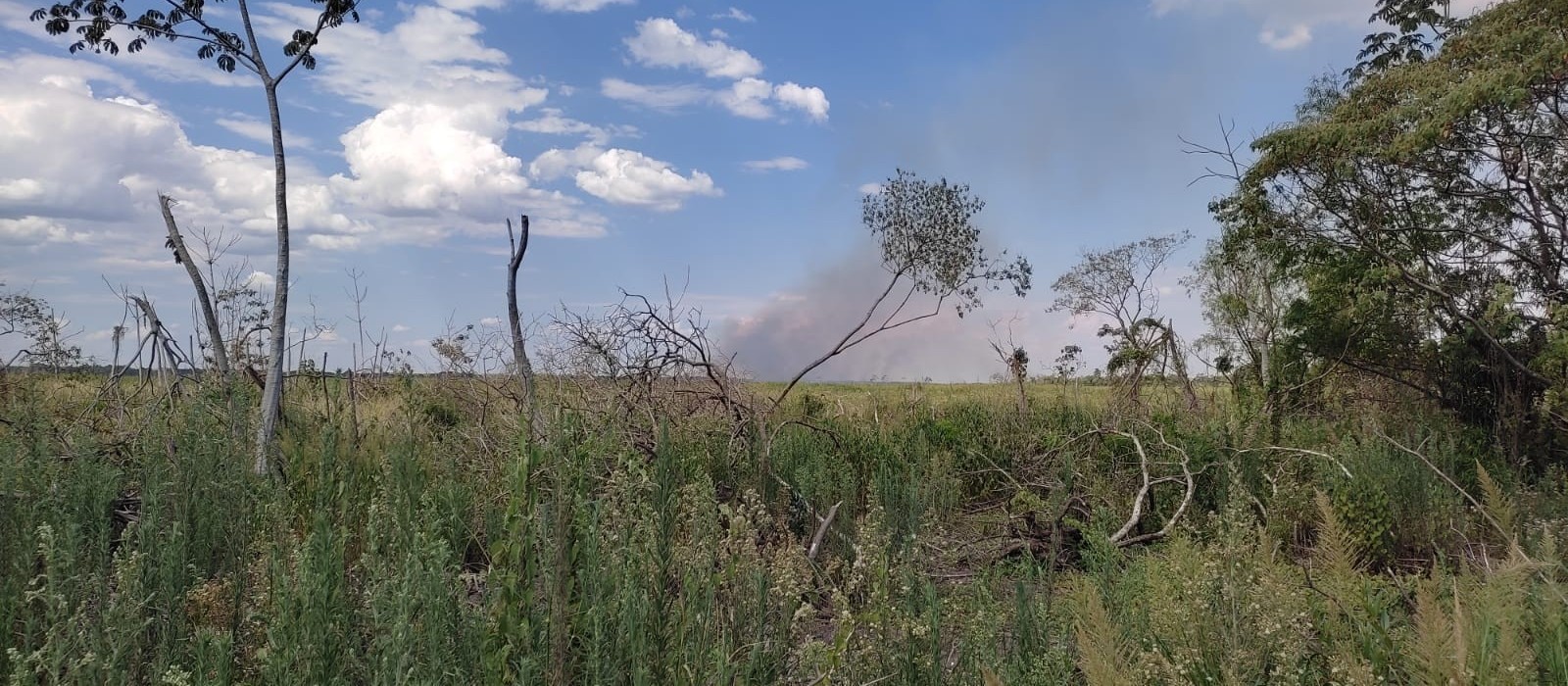 Brigadistas combatem incêndio no Parque Nacional de Ilha Grande