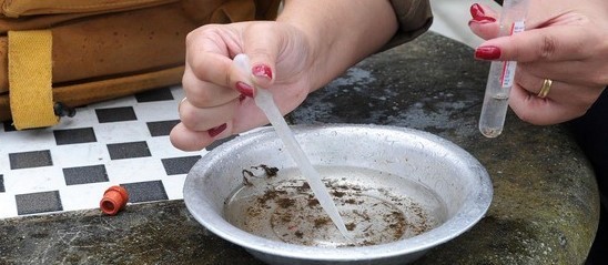 Menina de 14 anos pode ter morrido por causa de dengue