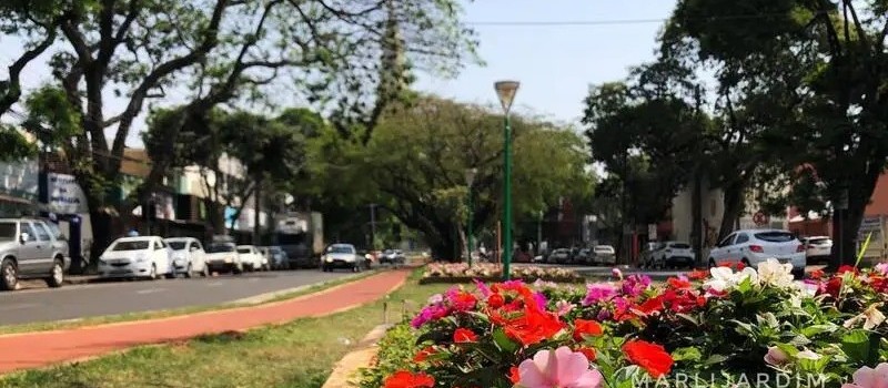 Confira como fica o tempo em Maringá neste domingo (3)