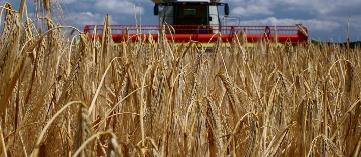 Os impactos do coronavírus no agronegócio paranaense 