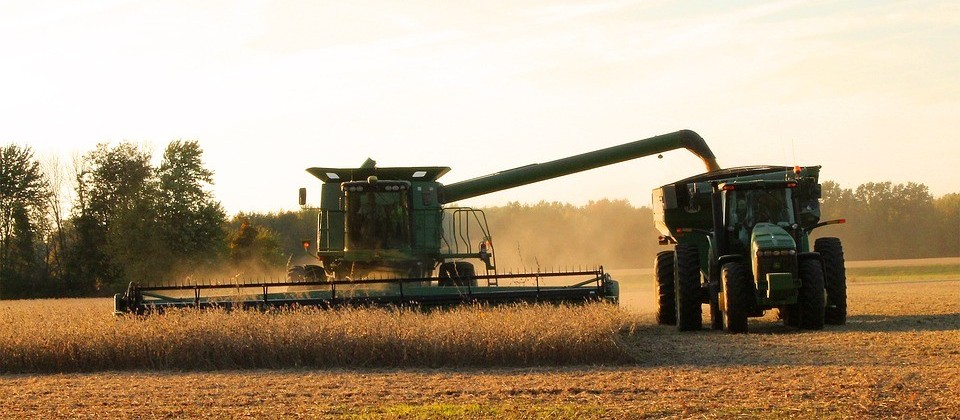 Clima é favorável para todas as atividades agrícolas