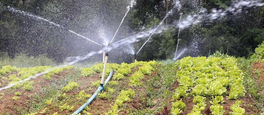 Falta de chuvas já preocupa produtores rurais em todo o Paraná