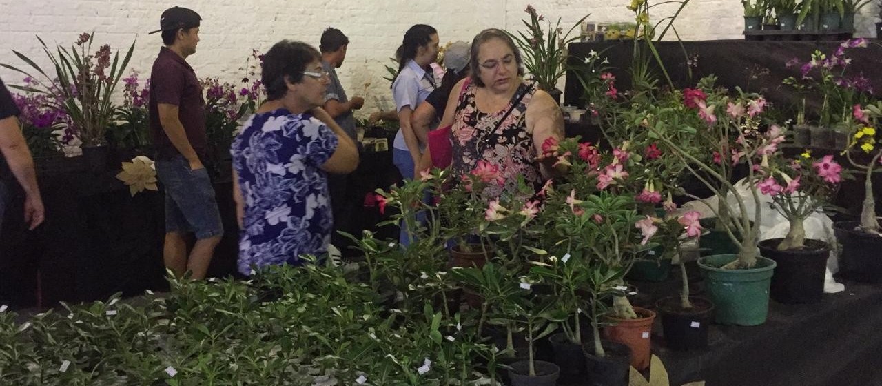 Feira regional de produtores de flores muda de local na Expoingá