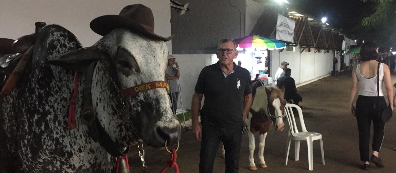 Passeios em pequenos animais divertem crianças durante a Expoingá