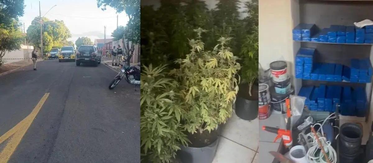 Homem morre em confronto com a PM ao ser pego com plantação de maconha