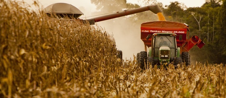 VBP da agropecuária deve encerrar o ano em R$ 609 bi, estima Ministério da Agricultura 