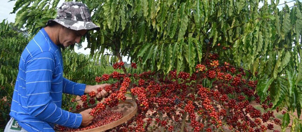 Ministério da Agricultura propõe juros menores para crédito rural