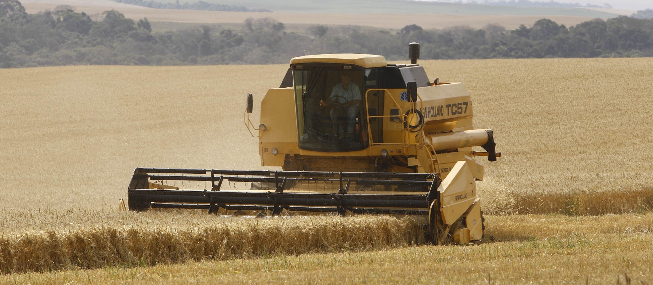 Seguro Rural: o que aconteceu neste ano e o que está previsto para 2020