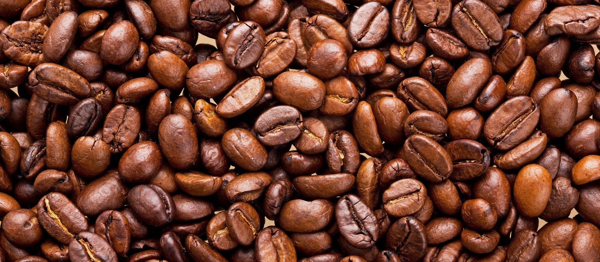 Café em coco custa R$ 6,25 kg em Apucarana