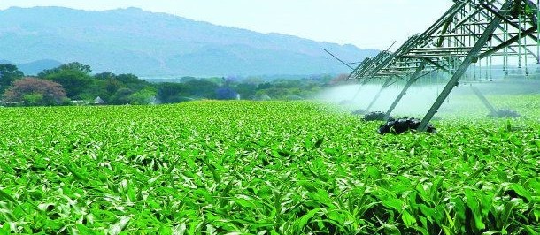 Importações brasileiras de fertilizantes bateram recorde em 2021