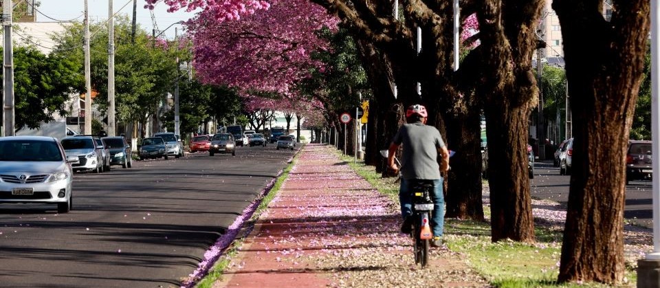 Publicado contrato para construção de ciclovia na Avenida Mário Urbinati