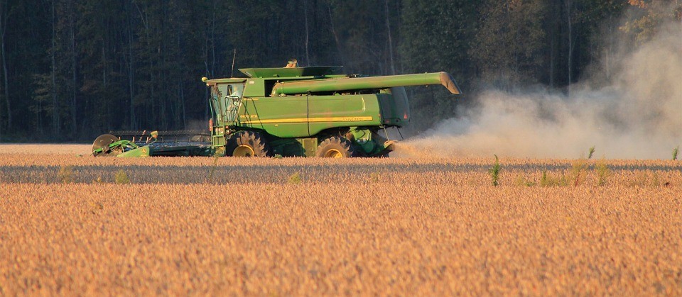 Puxado por soja, PIB agropecuário pode crescer entre 3,4% e 4,1%, diz Ipea