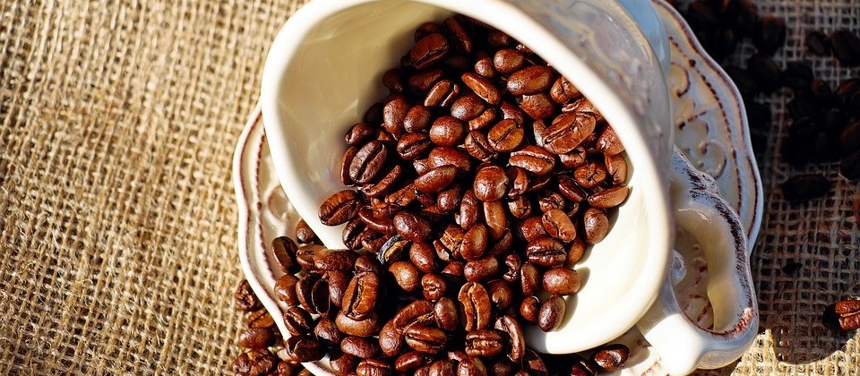Café em coco custa R$ 6,45 kg em Maringá