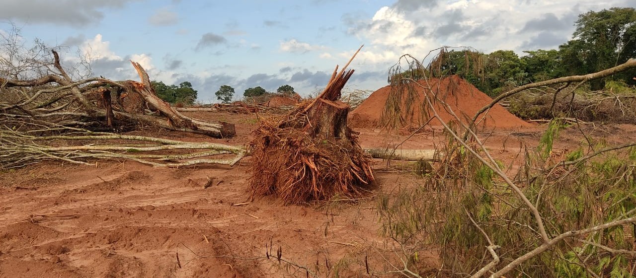 IAT identifica área de desmatamento e multa propriedade em mais de R$ 180 mil