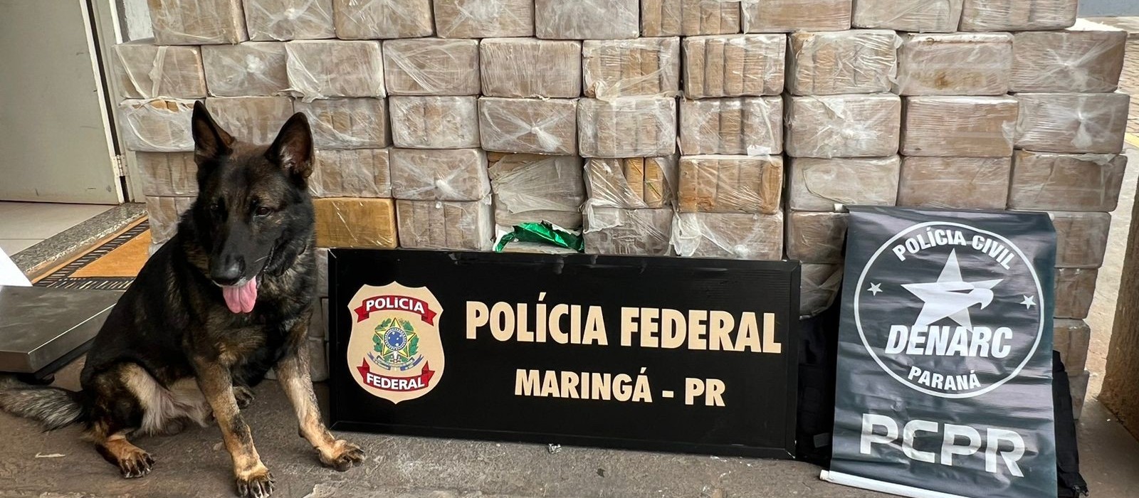 Ação da Polícia Federal e do Denarc apreende mais de 400 kg de cocaína