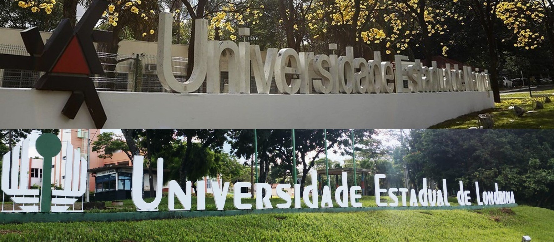 UEM e UEL estão entre universidades brasileiras que mais produzem pesquisa