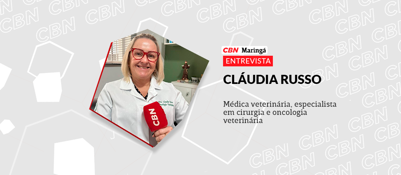 Tecnologias avançadas são aliadas da cirurgia e oncologia veterinária