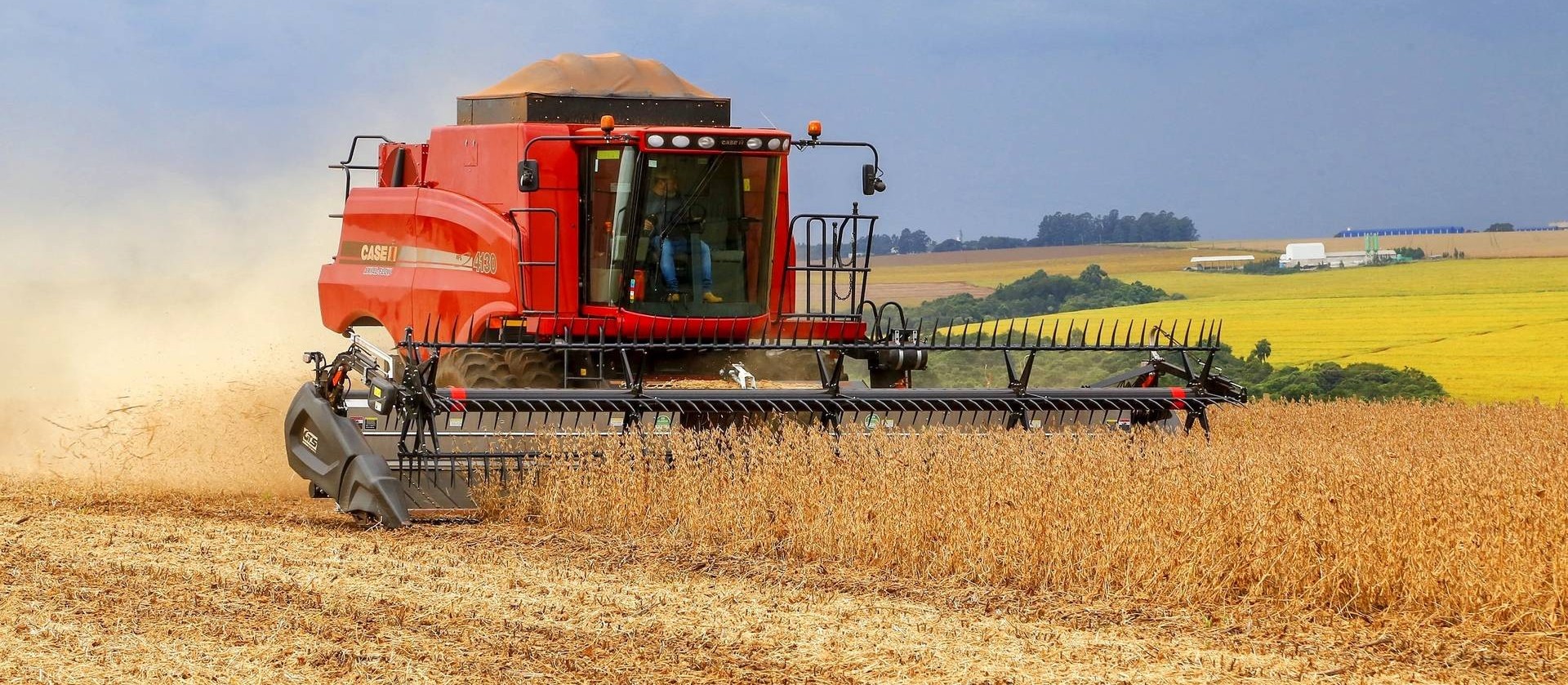 Brasil deve ter novo recorde na colheita da safra de soja