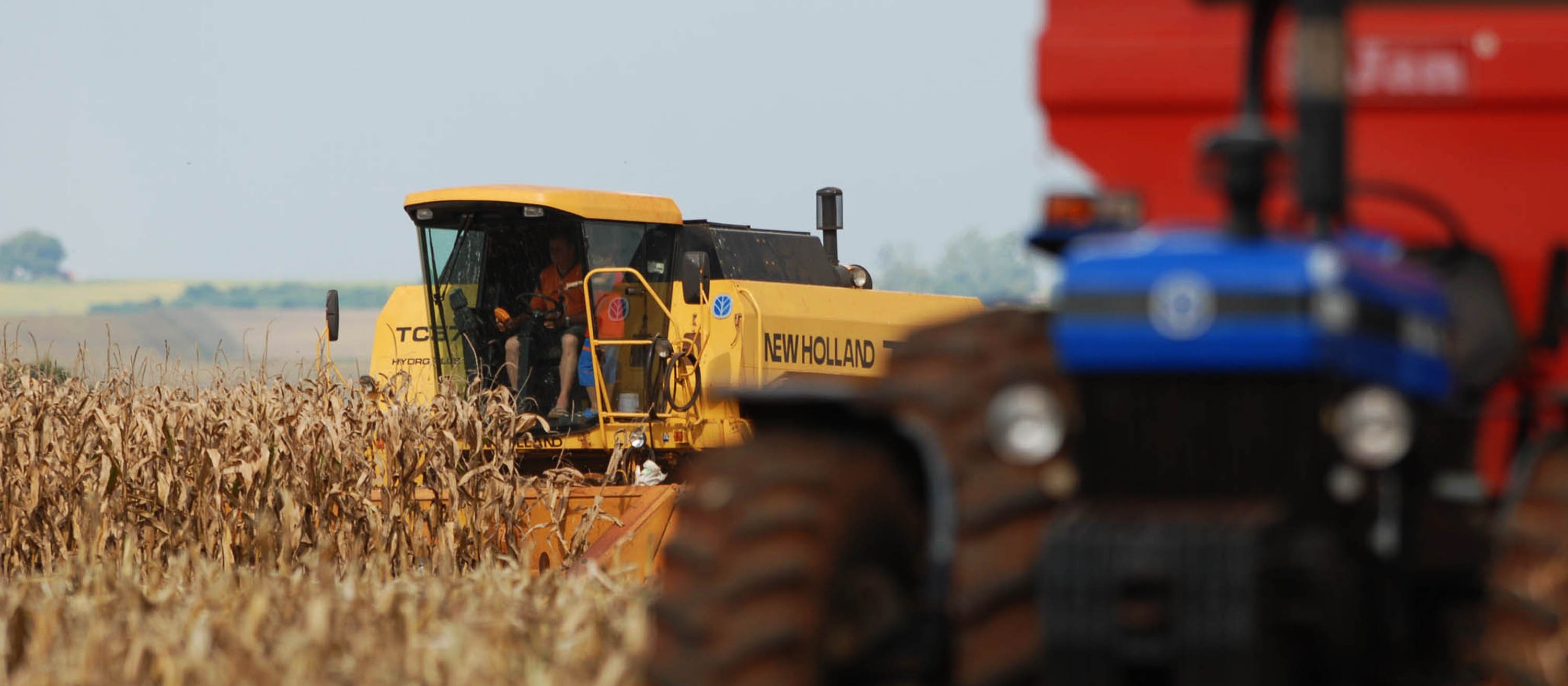 Brasil é líder na produção e exportação de produtos agrícolas