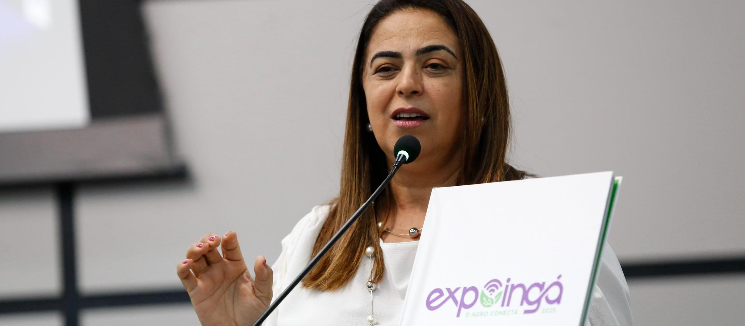 Presidente da SRM fala sobre Expoingá na Câmara Municipal