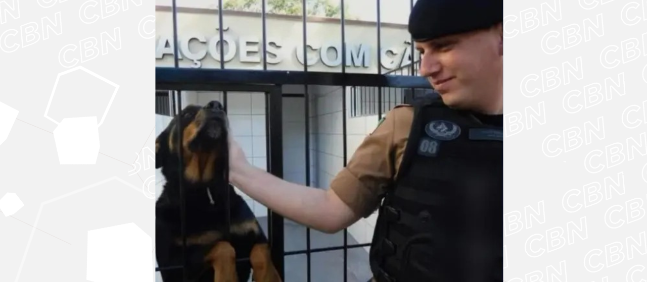 Corpo de cabo da PM que morreu na PR-323 é velado em Maringá