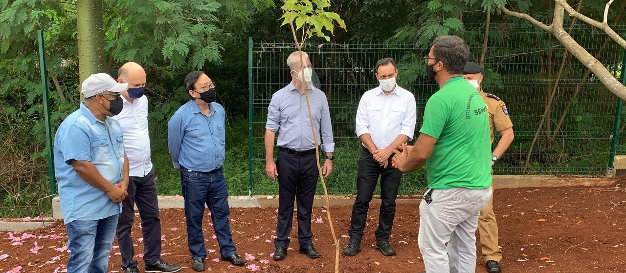 Maringá planta muda de ipê-roxo em homenagem às primeiras vítimas