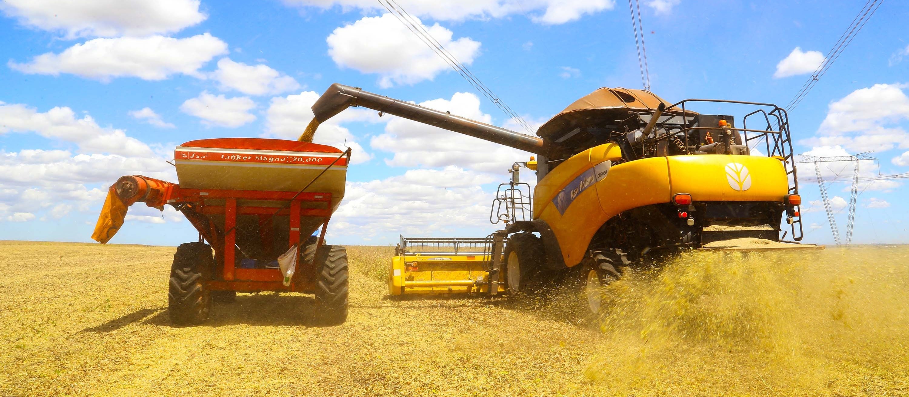 Brasil já colheu 10% da área cultivada de soja