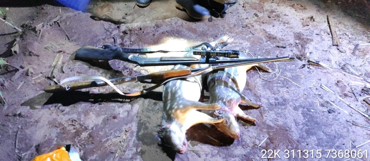 Dupla é presa e multada em R$ 10 mil por caça de animal silvestre