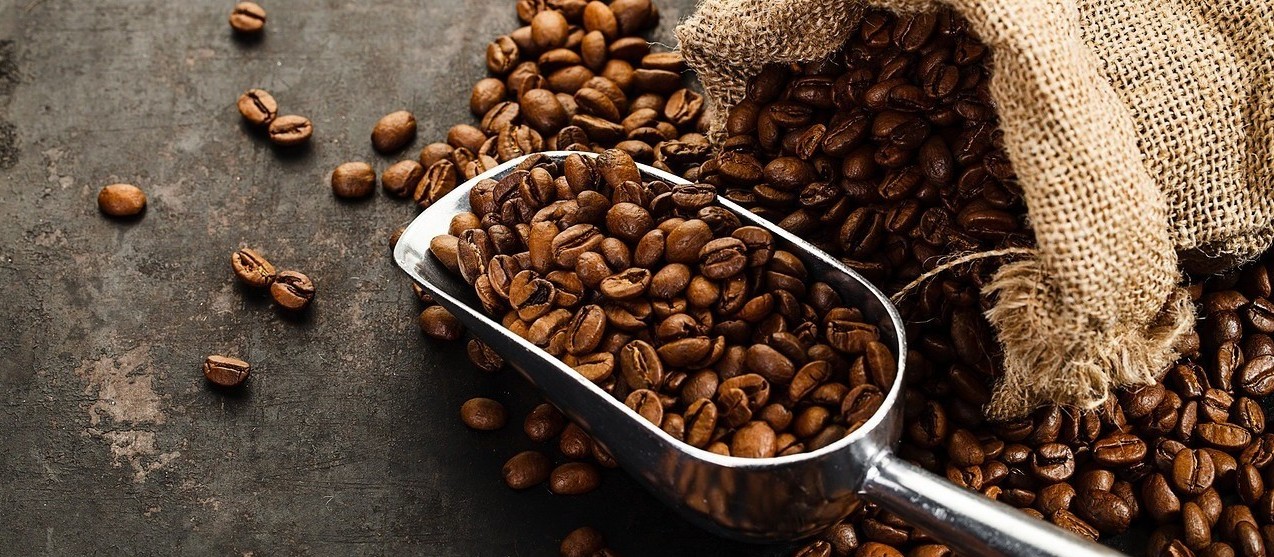Saca de 60 Kg do café beneficiado custa R$ 369 em Maringá 