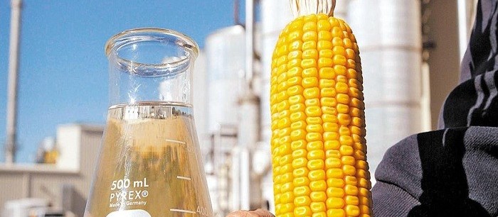  Brasil tem potencial para produzir 15 bilhões de litros de etanol a partir do milho  