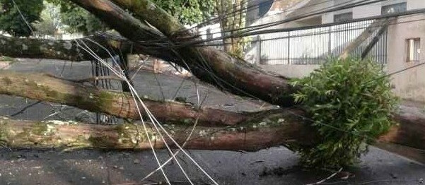 Oito postes quebraram durante o temporal em Maringá