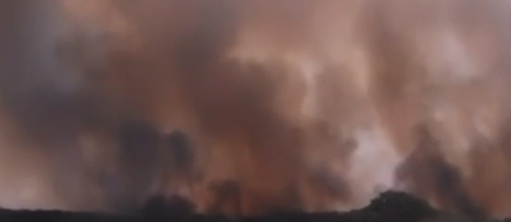 Novo foco de incêndio atinge o Parque Nacional de Ilha Grande