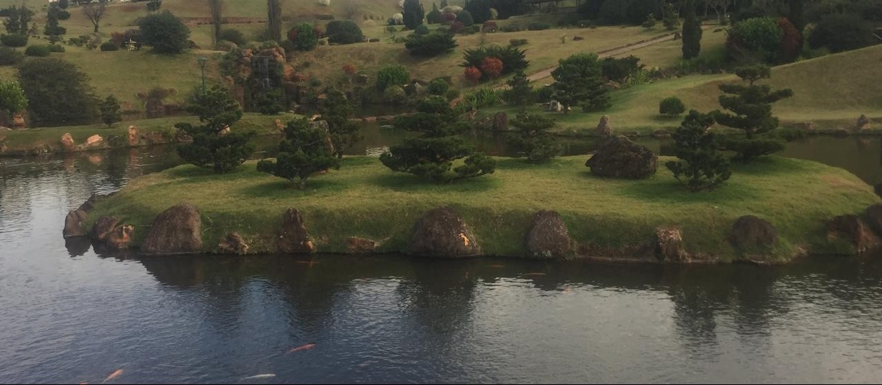 Estudantes de faculdade particular vão desenvolver projetos para o Parque do Japão