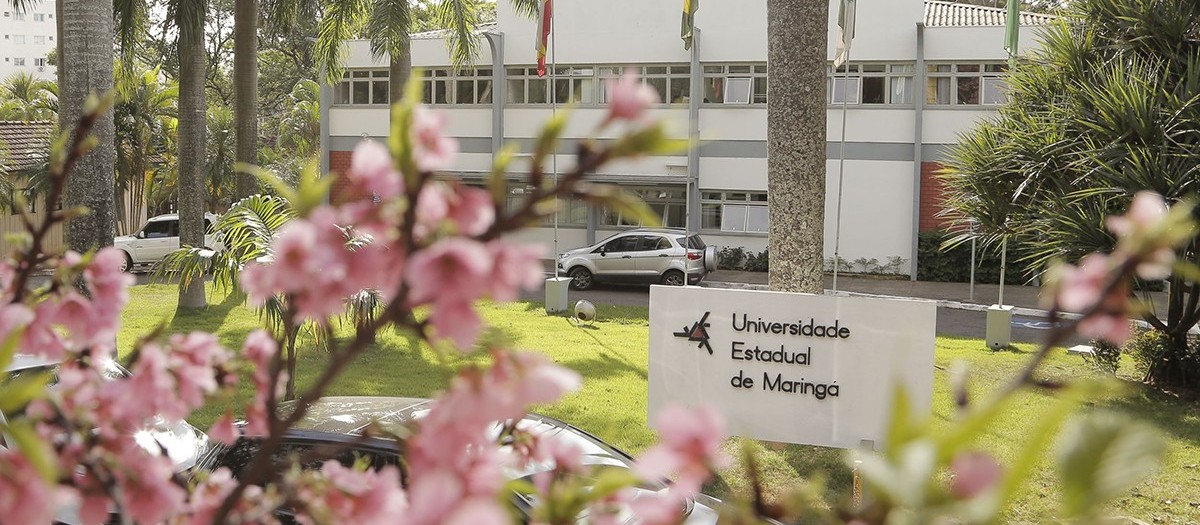 Com retorno das aulas definido, UEM abre edital para emprestar equipamentos