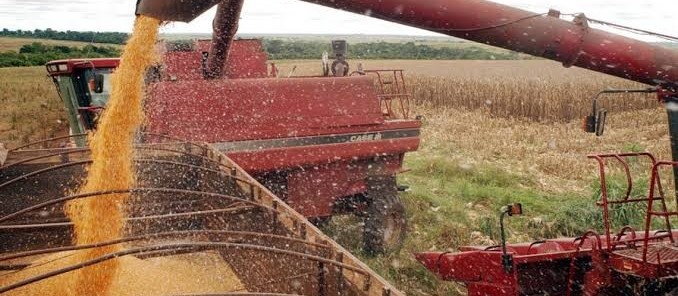 Produção de grãos do Brasil pode aumentar ainda mais com recuperação de áreas degradadas