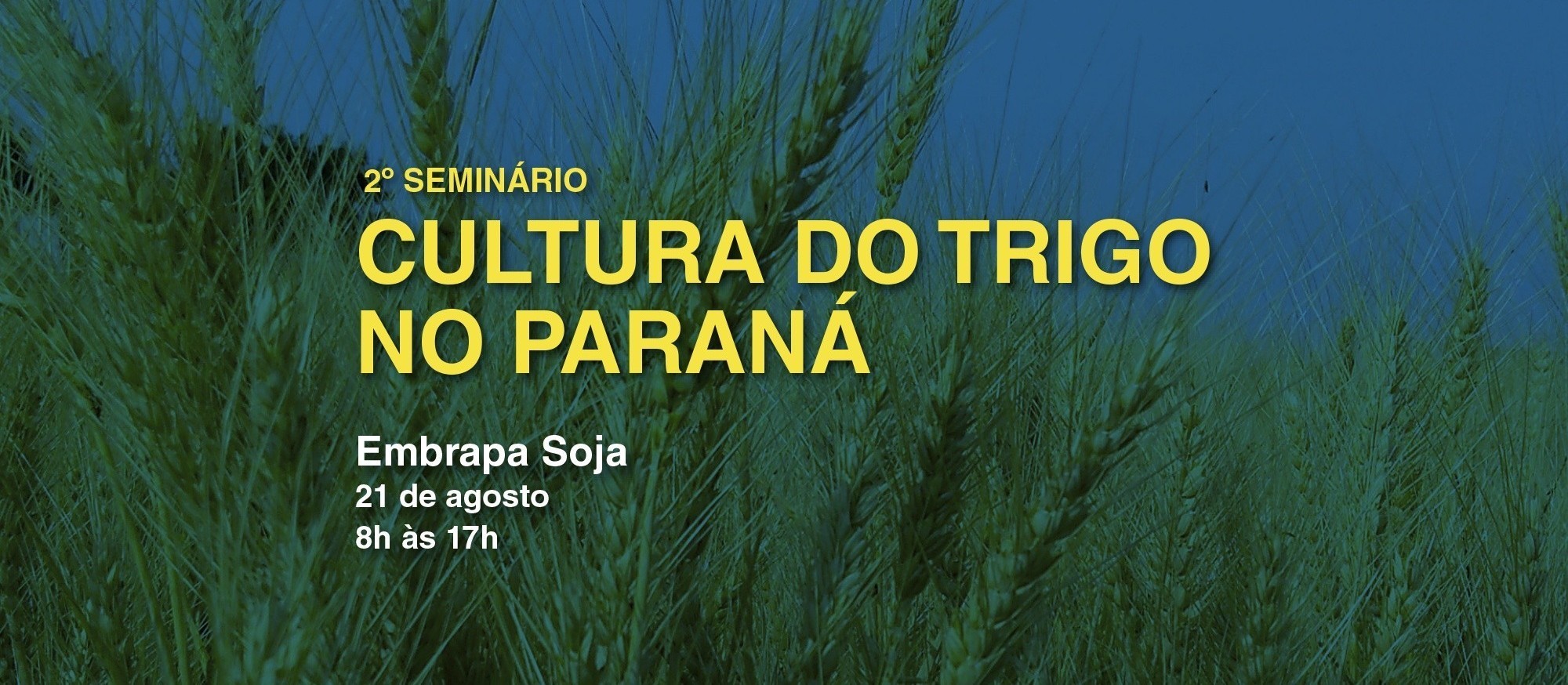 2º Seminário da Cultura do Trigo no Paraná inicia nesta quarta-feira (21) 