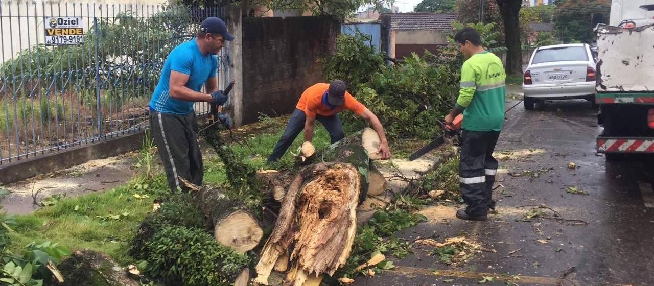 Moradores poderão pagar por corte e poda de árvores