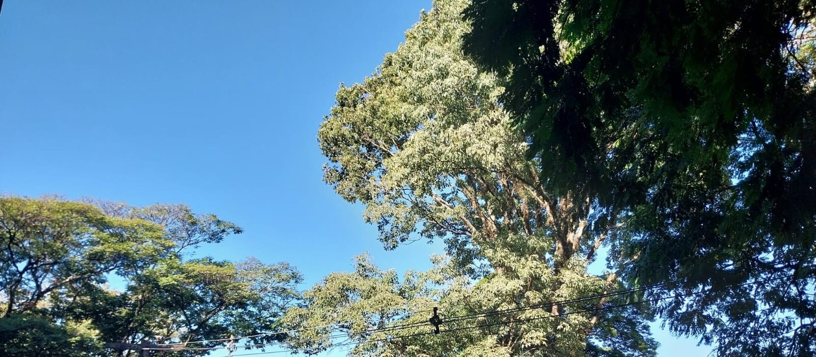 Sábado de sol e temperatura máxima de 24 graus
