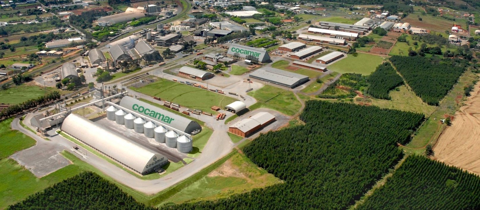Bicampeã: Cocamar é a melhor cooperativa agropecuária do Brasil